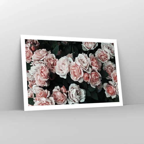 Poster - Composizione di rose - 91x61 cm