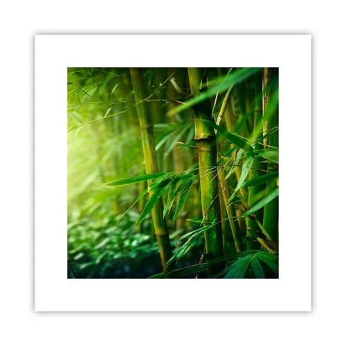 Poster - Conoscere il verde in sé - 30x30 cm