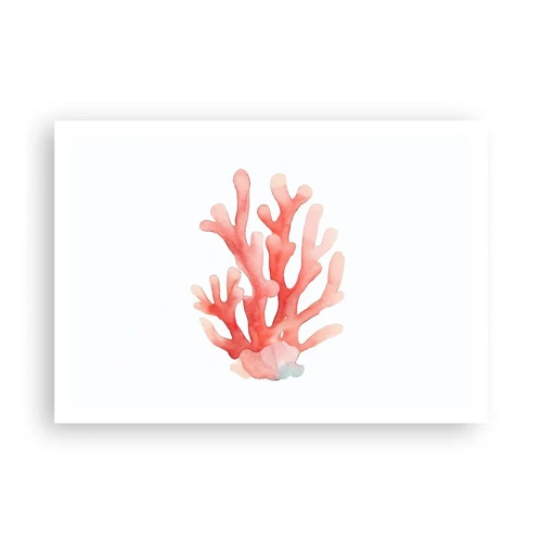 Poster - Corallo color corallo - 100x70 cm