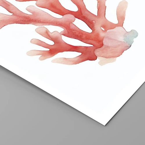 Poster - Corallo color corallo - 40x30 cm