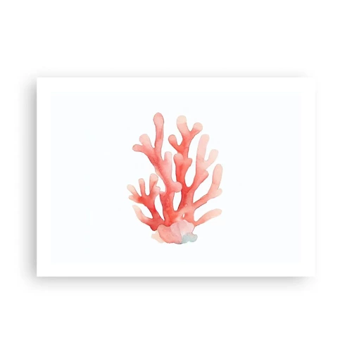 Poster - Corallo color corallo - 70x50 cm