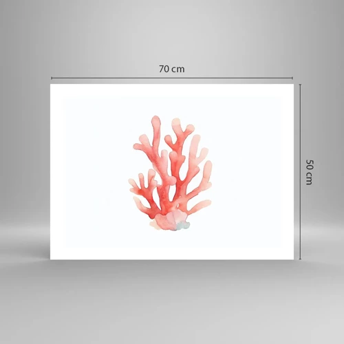 Poster - Corallo color corallo - 70x50 cm