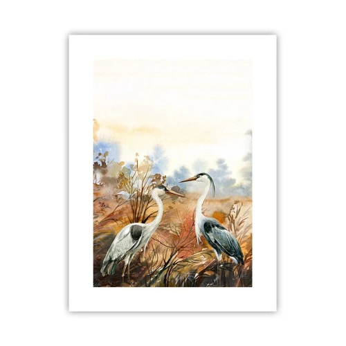 Poster - Dove in autunno? - 30x40 cm