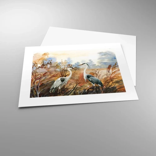 Poster - Dove in autunno? - 40x30 cm