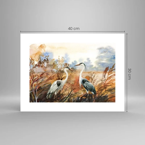 Poster - Dove in autunno? - 40x30 cm