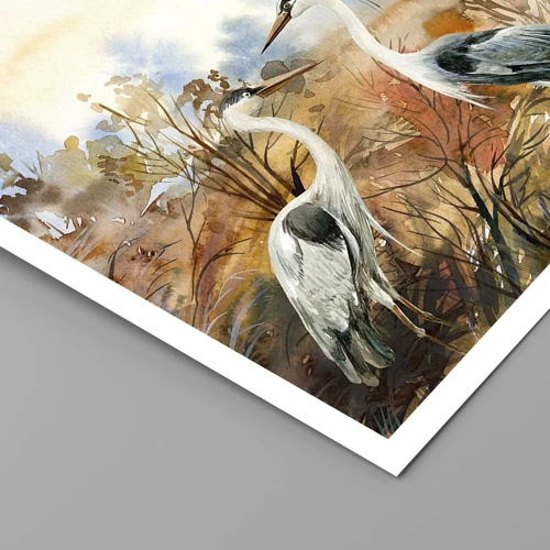 Poster - Dove in autunno? - 40x30 cm