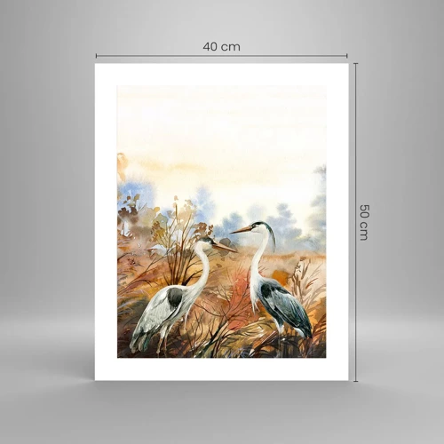 Poster - Dove in autunno? - 40x50 cm