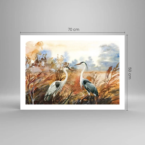 Poster - Dove in autunno? - 70x50 cm