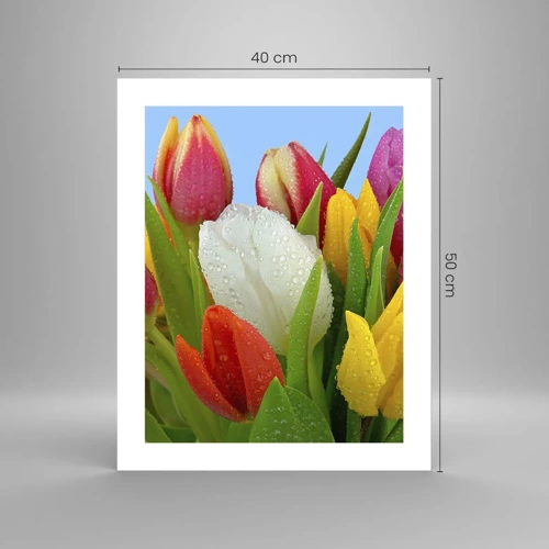 Poster - Fiori multicolori nella rugiada - 40x50 cm