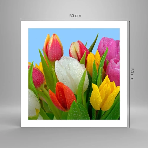 Poster - Fiori multicolori nella rugiada - 50x50 cm