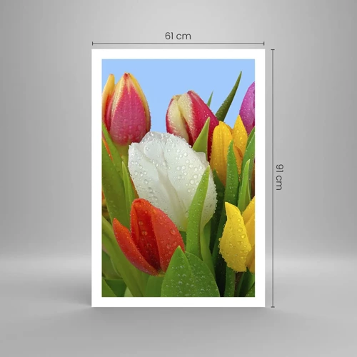 Poster - Fiori multicolori nella rugiada - 61x91 cm