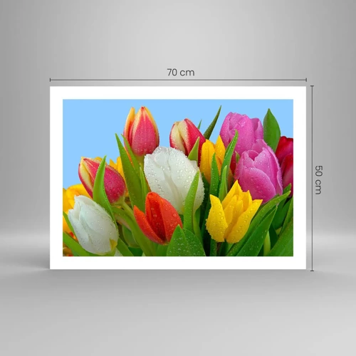 Poster - Fiori multicolori nella rugiada - 70x50 cm