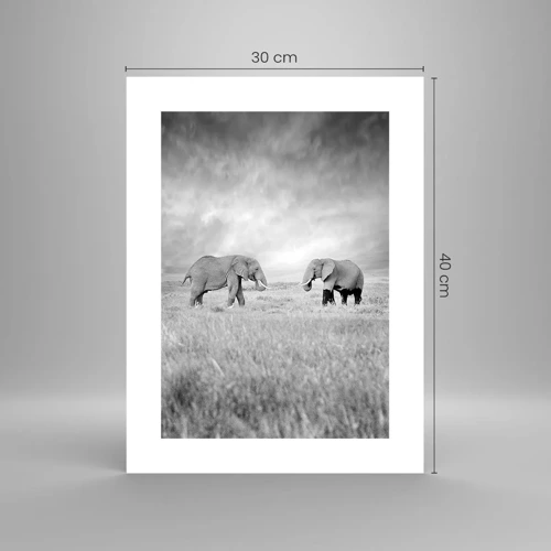 Poster - Grigio è bello - 30x40 cm