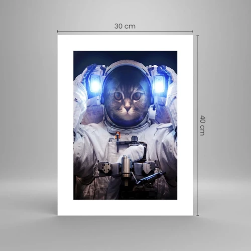 Poster - Houston, avete un problema - 30x40 cm