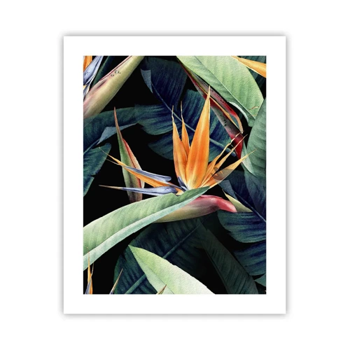 Poster - I fiori fiammeggianti dei tropici - 40x50 cm