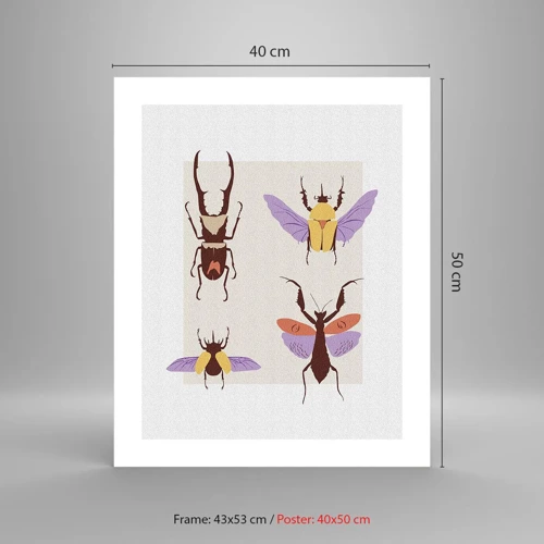 Poster - Il mondo degli insetti - 40x50 cm