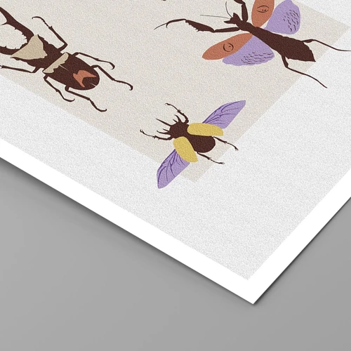 Poster - Il mondo degli insetti - 70x100 cm
