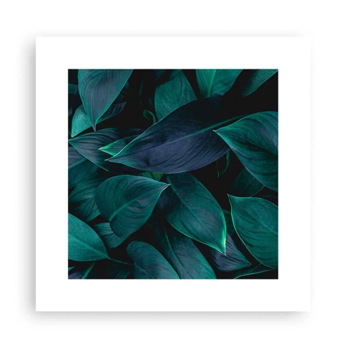 Poster - Il verde puro - 30x30 cm