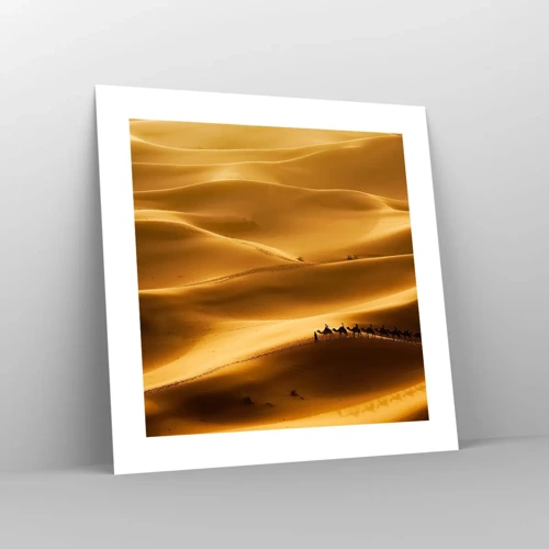 Poster - La carovana sulle onde del deserto - 40x40 cm