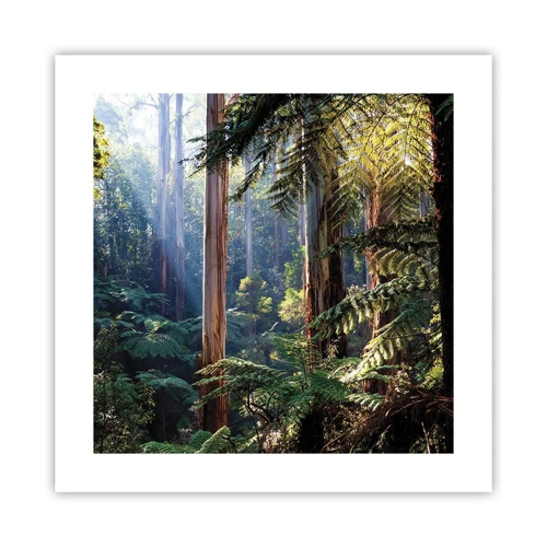 Poster - La favola del bosco - 40x40 cm