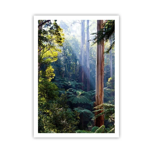 Poster - La favola del bosco - 70x100 cm