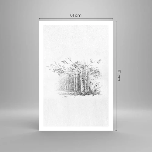 Poster - La luce della foresta di betulle - 61x91 cm