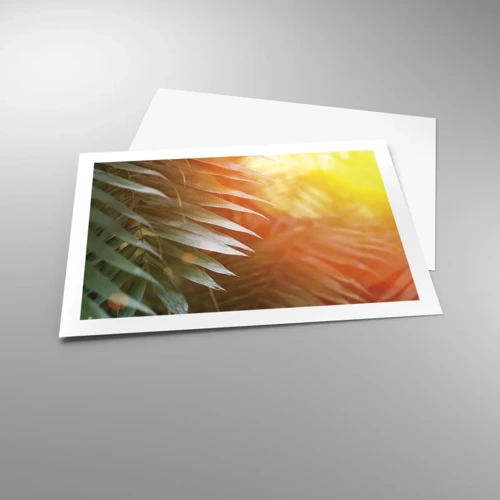 Poster - L'alba nella giungla - 70x50 cm