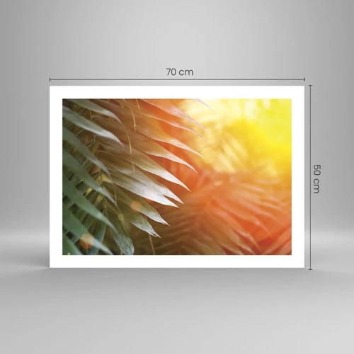 Poster - L'alba nella giungla - 70x50 cm