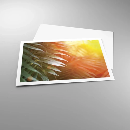 Poster - L'alba nella giungla - 91x61 cm