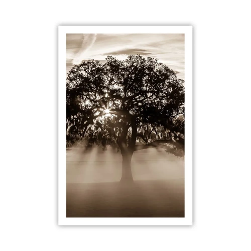 Poster - L'albero delle sole buone notizie - 61x91 cm