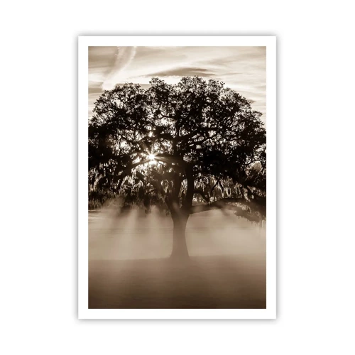 Poster - L'albero delle sole buone notizie - 70x100 cm