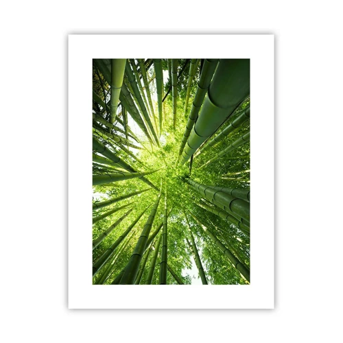 Poster - Nella foresta di bambù - 30x40 cm