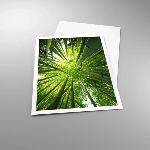 Poster - Nella foresta di bambù - 70x100 cm