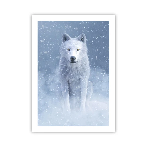 Poster - Nello spirito dell'inverno - 50x70 cm