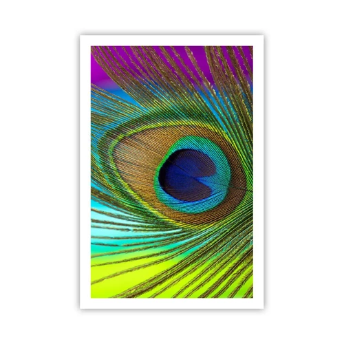 Poster - Occhio nell'occhio - 61x91 cm