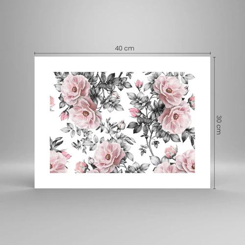 Poster - Perdersi tra le rose - 40x30 cm