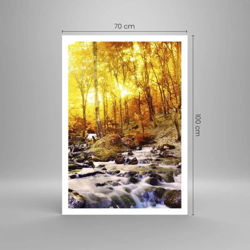 Poster - Pietre incorniciate in oro e platino - 70x100 cm