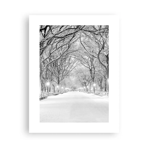 Poster - Quattro stagioni: l'inverno - 30x40 cm