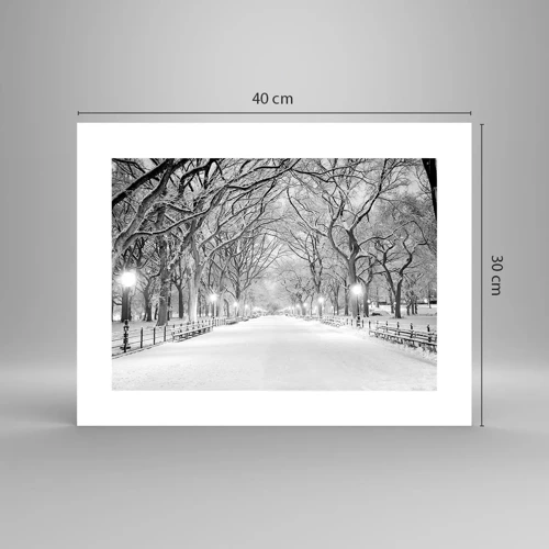 Poster - Quattro stagioni: l'inverno - 40x30 cm