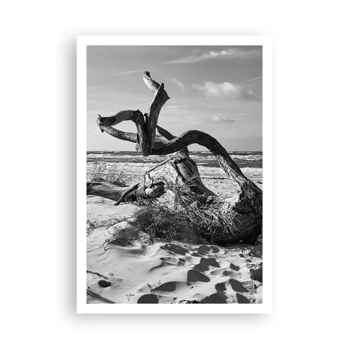 Poster - Scolpito dal mare - 70x100 cm