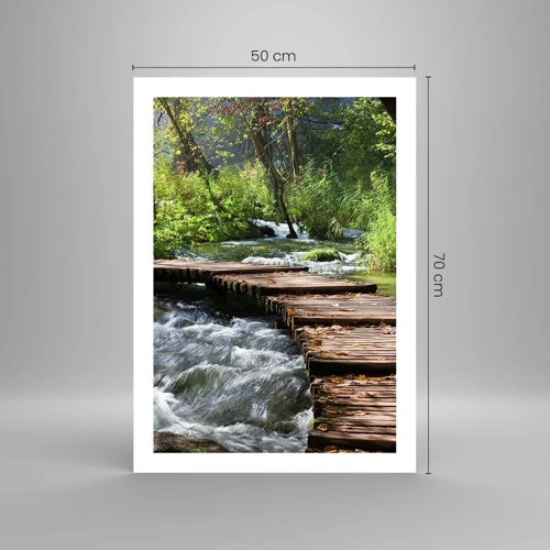 Poster - Sulla cascata spumeggiante - 50x70 cm