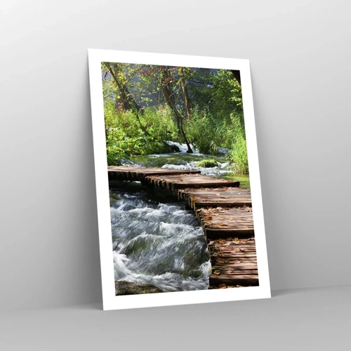 Poster - Sulla cascata spumeggiante - 50x70 cm