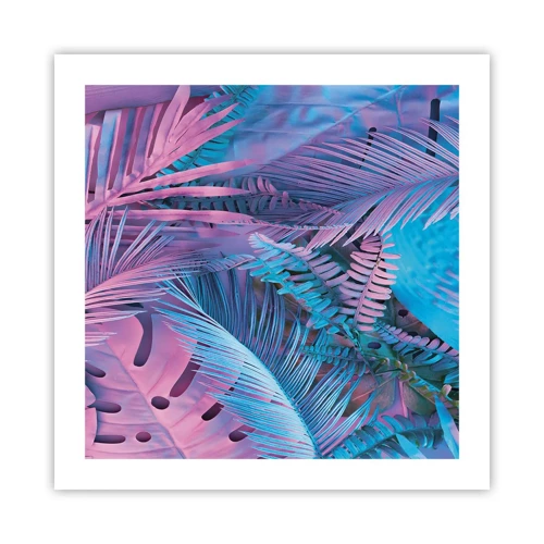 Poster - Tropici in rosa e blu - 50x50 cm