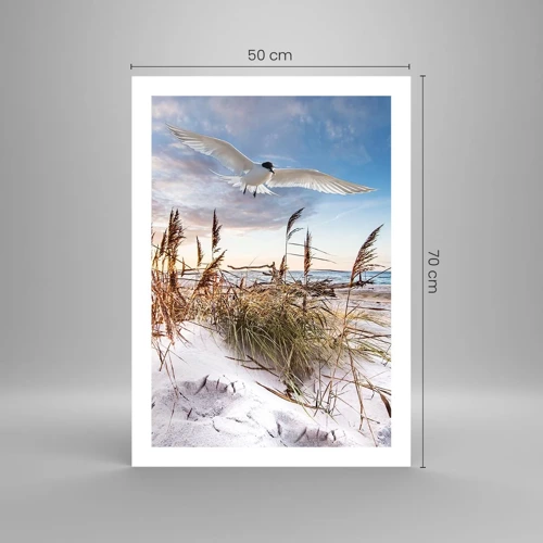 Poster - Vento dal mare - 50x70 cm