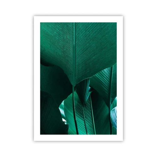 Poster - Verso la luce - 50x70 cm