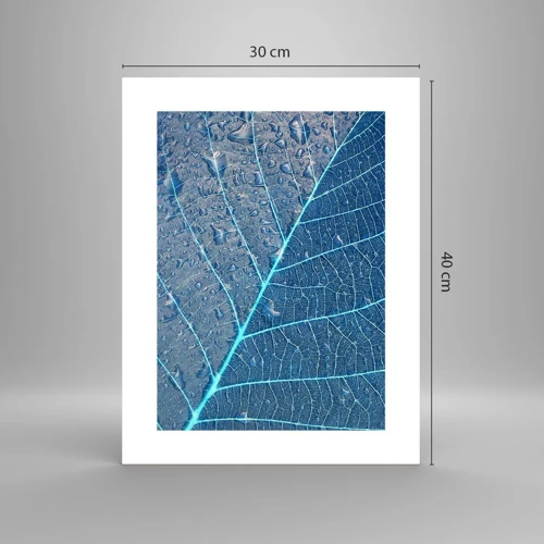 Poster - Vita nel blu - 30x40 cm