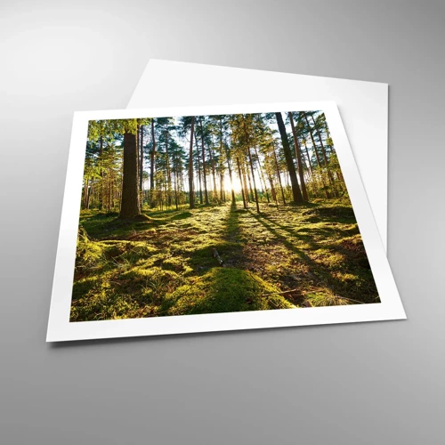 Poster - …dopo sette foreste - 60x60 cm