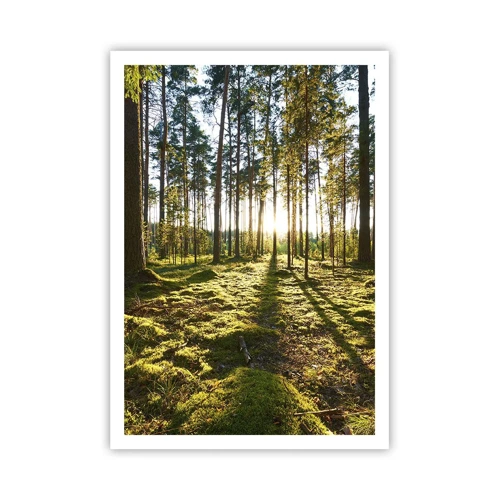 Poster - …dopo sette foreste - 70x100 cm