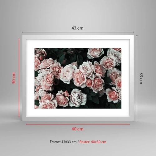 Poster in cornice bianca - Composizione di rose - 40x30 cm