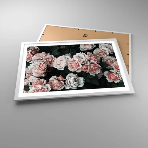 Poster in cornice bianca - Composizione di rose - 70x50 cm